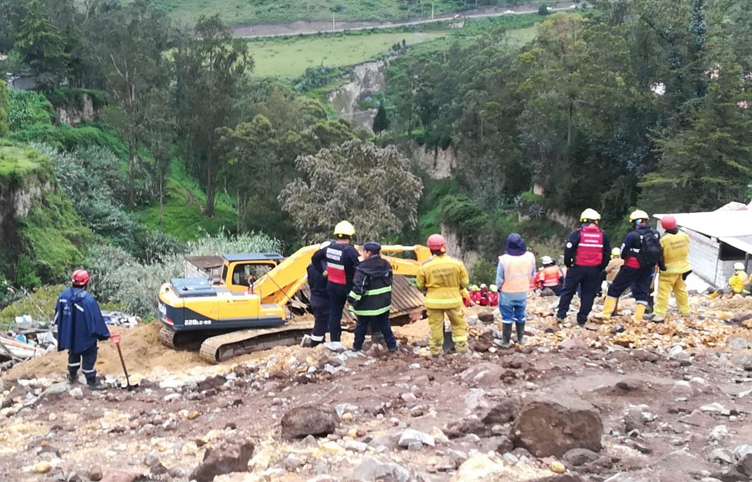 Imagen 6